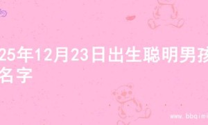 2025年12月23日出生聪明男孩的名字