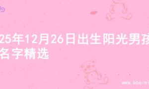 2025年12月26日出生阳光男孩的名字精选