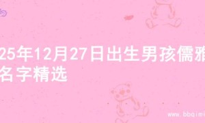 2025年12月27日出生男孩儒雅的名字精选