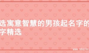 精选寓意智慧的男孩起名字的名字精选