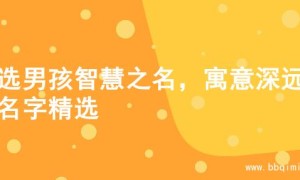 精选男孩智慧之名，寓意深远的名字精选