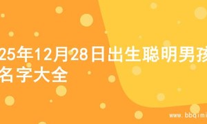 2025年12月28日出生聪明男孩的名字大全