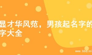 尽显才华风范，男孩起名字的名字大全