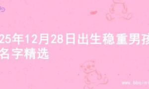 2025年12月28日出生稳重男孩的名字精选
