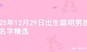 2025年12月29日出生聪明男孩的名字精选