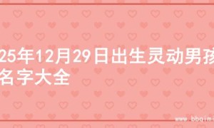 2025年12月29日出生灵动男孩的名字大全