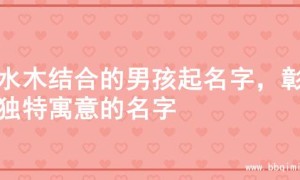 求水木结合的男孩起名字，彰显独特寓意的名字