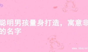 为聪明男孩量身打造，寓意非凡的名字