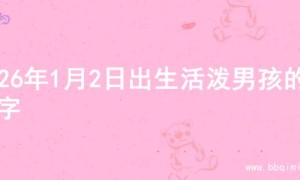 2026年1月2日出生活泼男孩的名字
