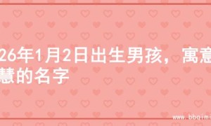2026年1月2日出生男孩，寓意智慧的名字