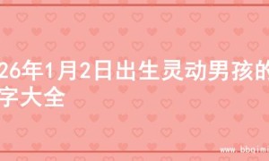 2026年1月2日出生灵动男孩的名字大全