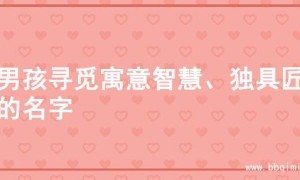 为男孩寻觅寓意智慧、独具匠心的名字