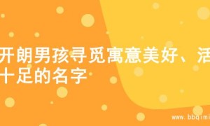为开朗男孩寻觅寓意美好、活力十足的名字
