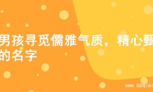 为男孩寻觅儒雅气质，精心甄选的名字
