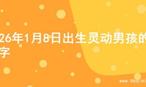2026年1月8日出生灵动男孩的名字