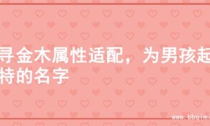 探寻金木属性适配，为男孩起独特的名字