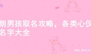 开朗男孩取名攻略，各类心仪的名字大全