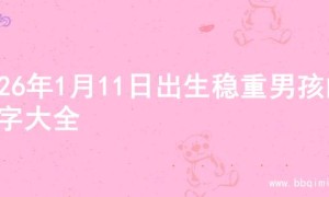 2026年1月11日出生稳重男孩的名字大全