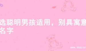 精选聪明男孩适用，别具寓意的名字