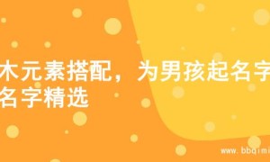金木元素搭配，为男孩起名字的名字精选