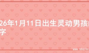2026年1月11日出生灵动男孩的名字