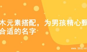 火木元素搭配，为男孩精心甄选合适的名字