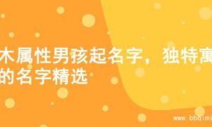 水木属性男孩起名字，独特寓意的名字精选