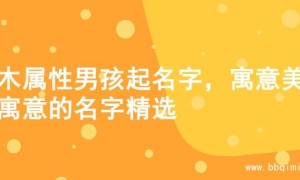 水木属性男孩起名字，寓意美好寓意的名字精选