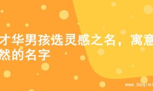 为才华男孩选灵感之名，寓意斐然的名字
