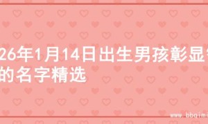 2026年1月14日出生男孩彰显智慧的名字精选